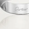 1895 Ehering – Platin – Cartier