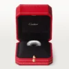 1895 Ehering – Platin – Cartier