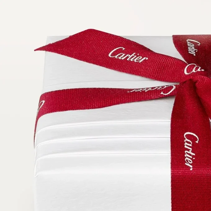 Cartier Libre Tuttitutti Schmuckschachtel
