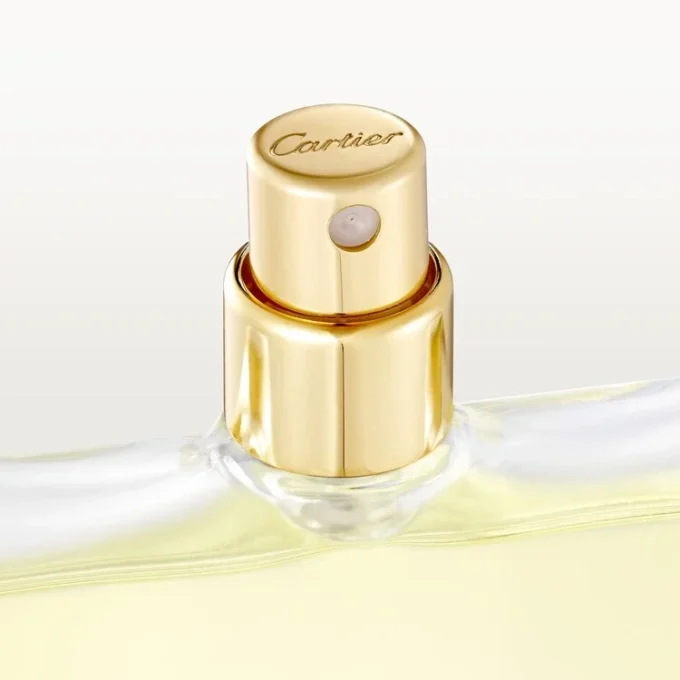 Eau de Toilette Nachfüllpackung – Declaration | Cartier