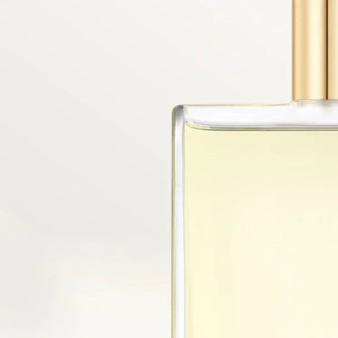 Eau de Toilette Nachfüllpackung – Declaration | Cartier