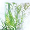 Geranium Parfüm-Nachfüllflakon – Rivieres De Cartier | Cartier