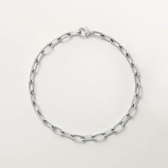 Santos de Cartier Armband, Kette, kleines Modell