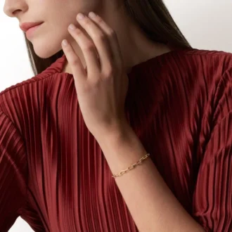 Santos de Cartier Armband, Kette, kleines Modell
