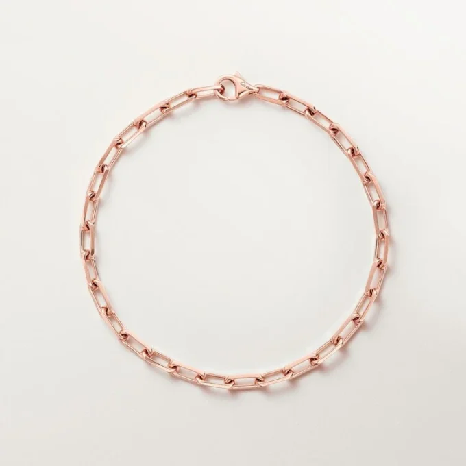Santos de Cartier Armband, Kette, kleines Modell
