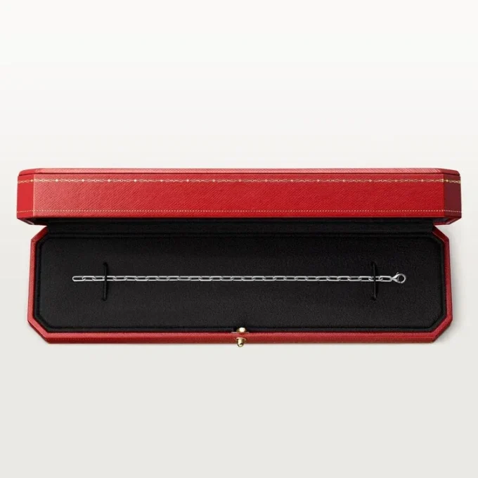 Santos de Cartier Armband, Kette, kleines Modell